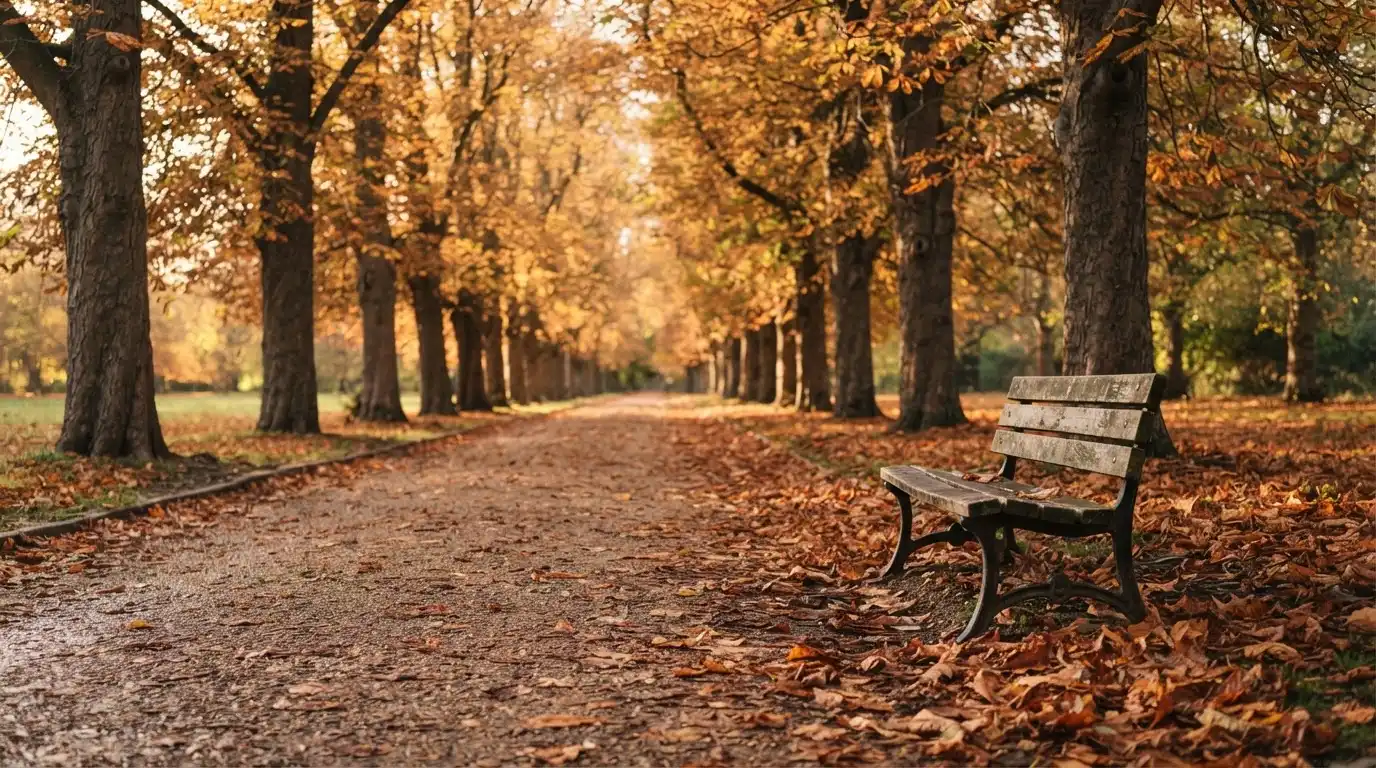 Eine Parkallee mit Kastanienbäumen und einer leeren Bank, Herbstlaub bedeckt den Kiesweg.