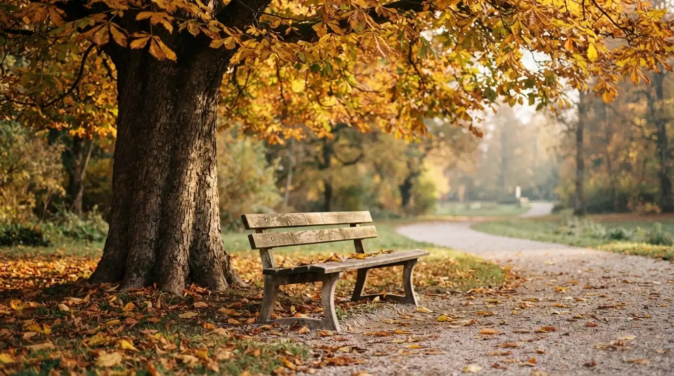 Eine Parkbank unter einer Kastanie im Herbst, auf dem Kiesweg liegen gelbe Blätter.