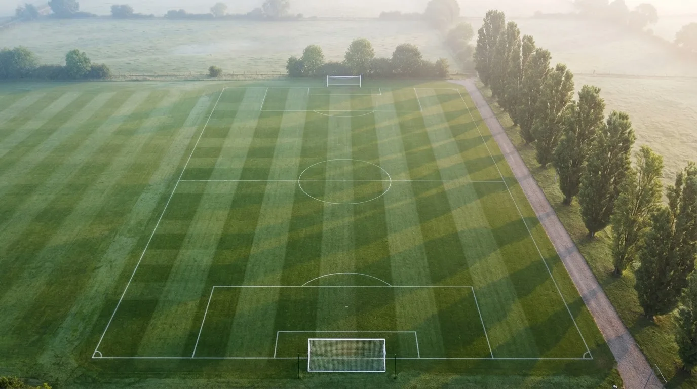 Ein leerer Fussballplatz mit weissen Linien von oben gesehen im Morgenlicht, am Rand stehen zwei Tore und eine Reihe Pappeln.